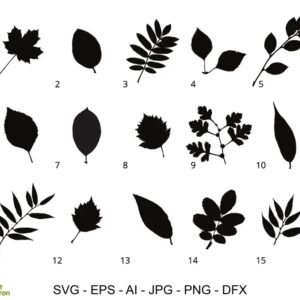 fichiers de découpe