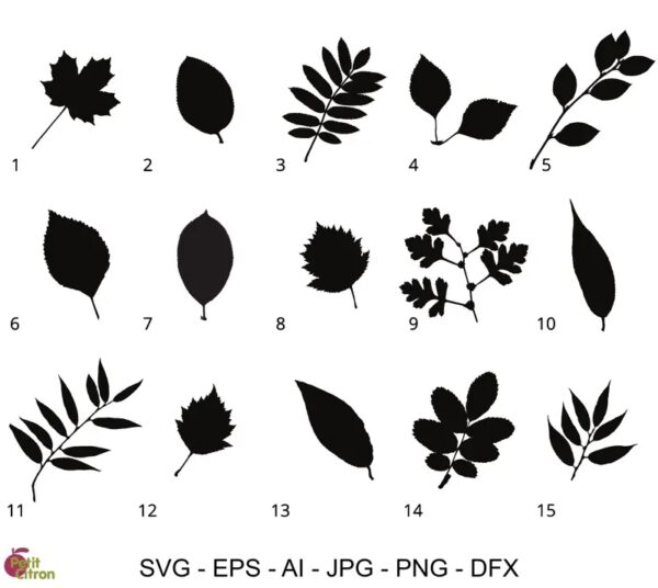 Fichiers de découpe : feuilles